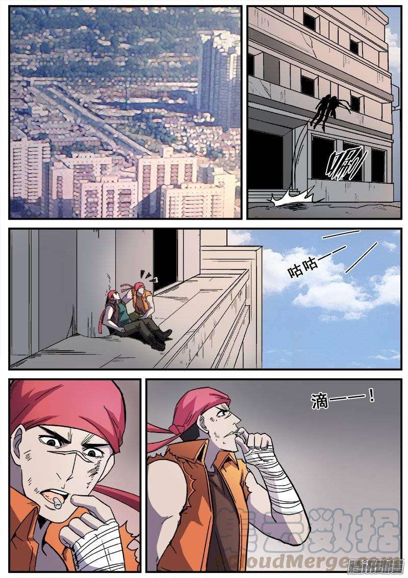 11.jpg