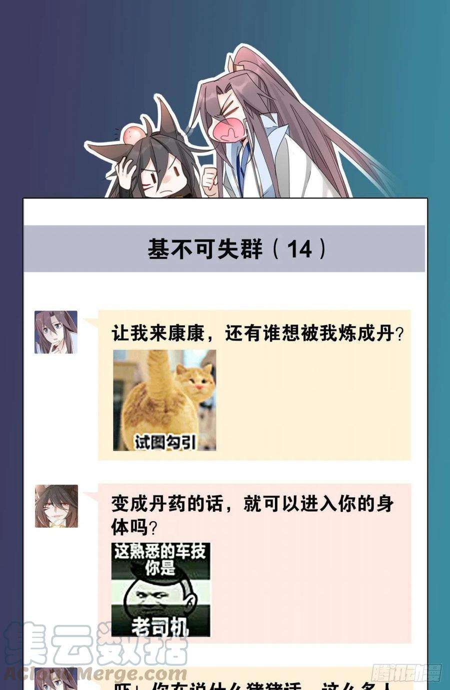 31.jpg