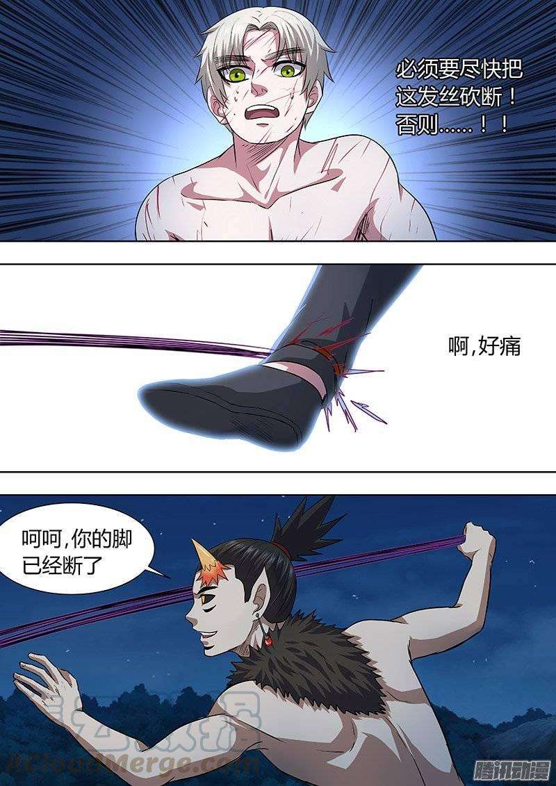 11.jpg