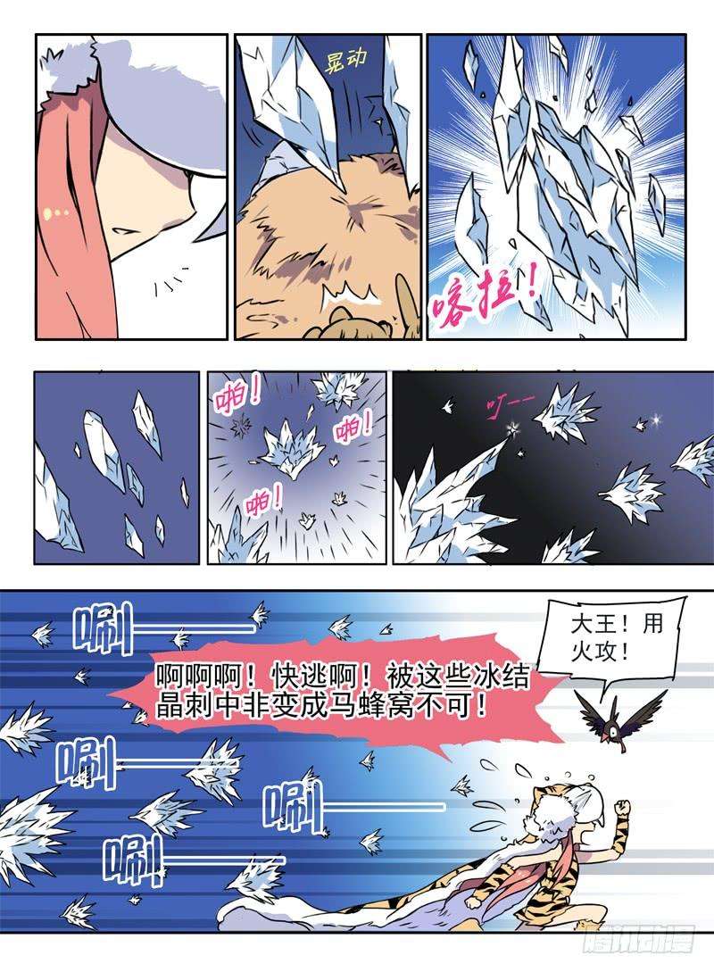 6.jpg