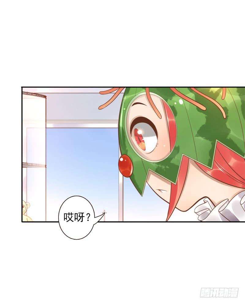 15.jpg