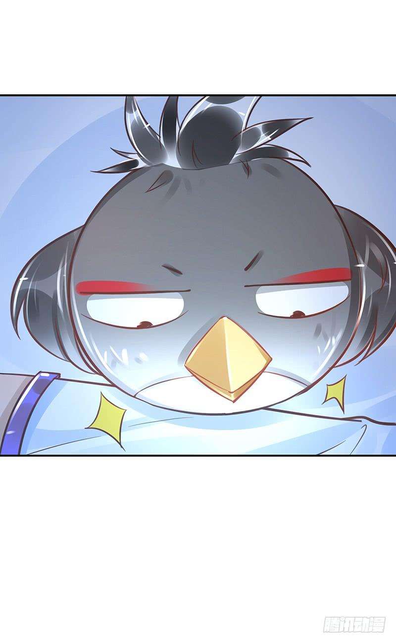 35.jpg