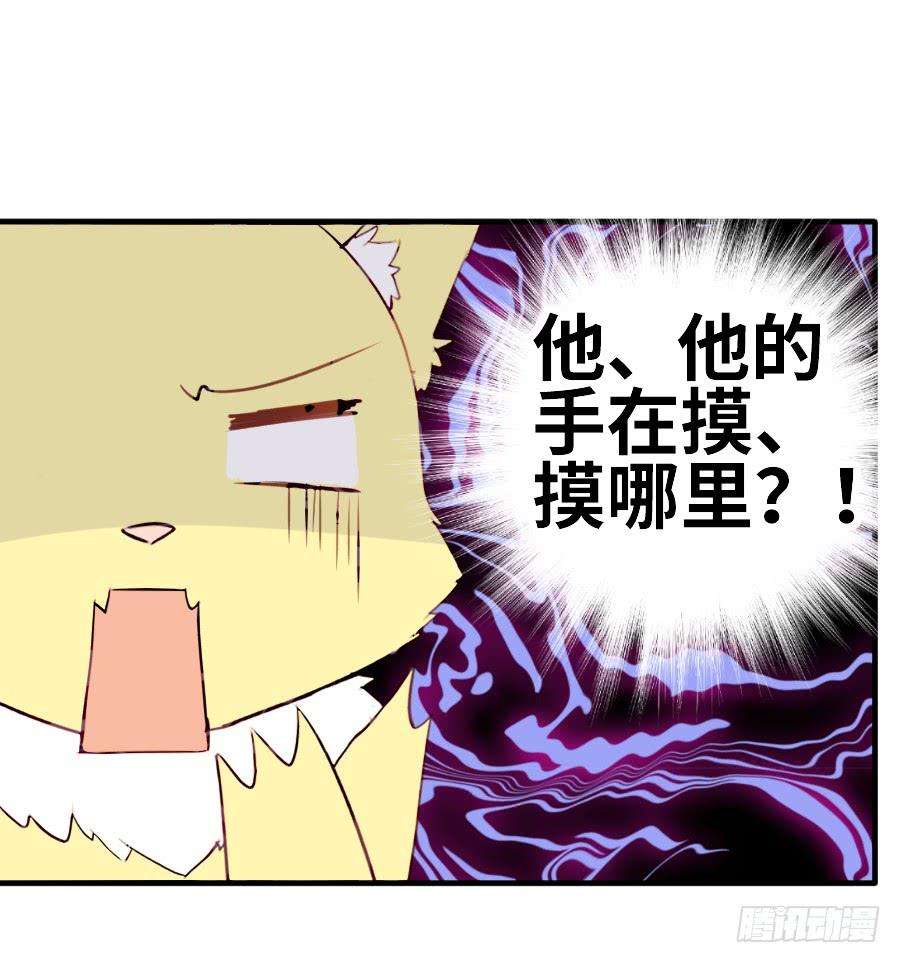 15.jpg