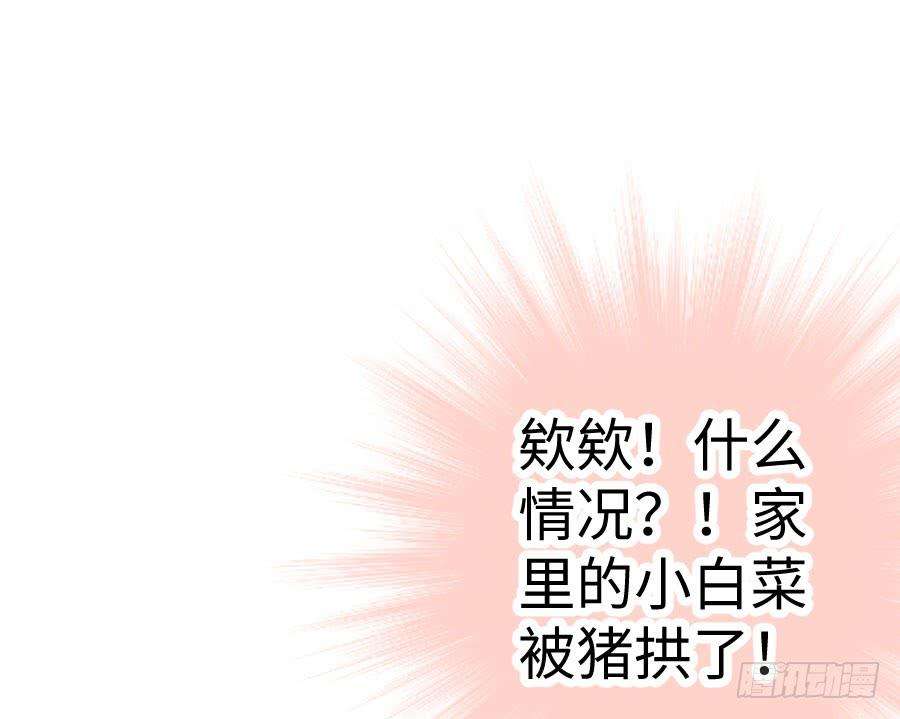 97.jpg