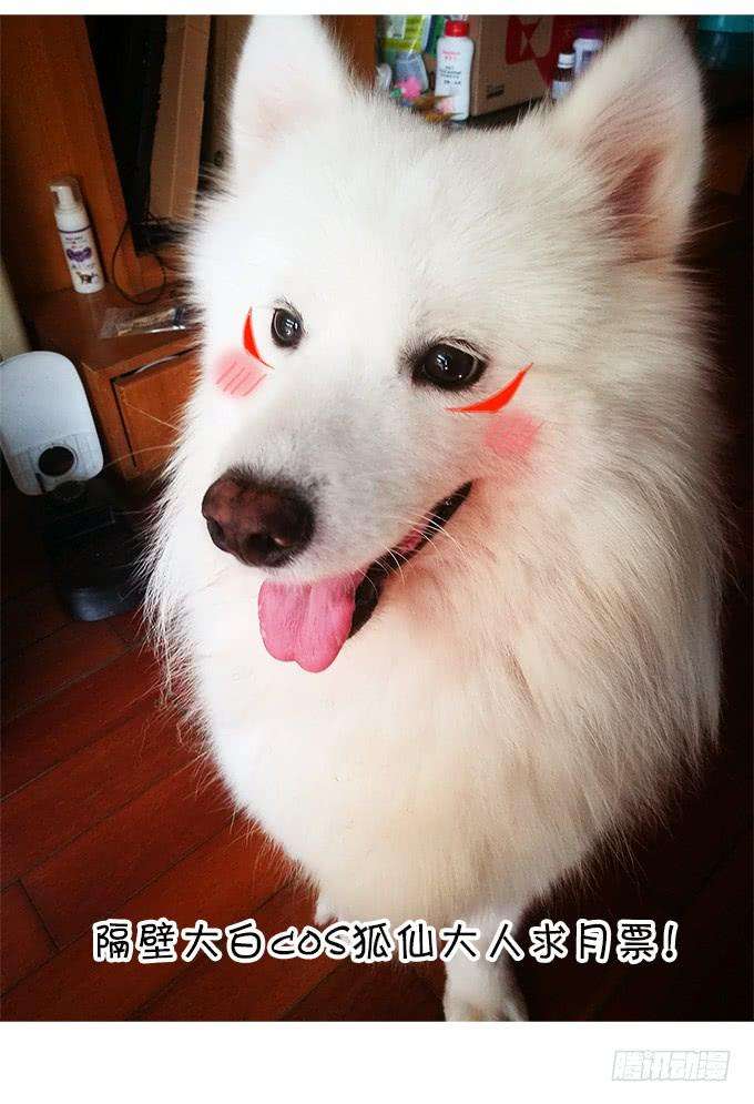 82.jpg