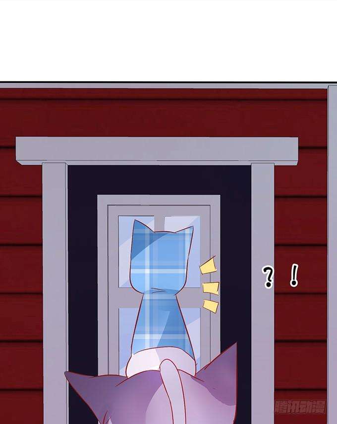 48.jpg