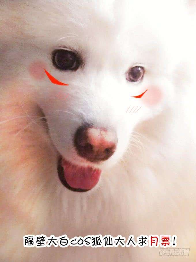 74.jpg
