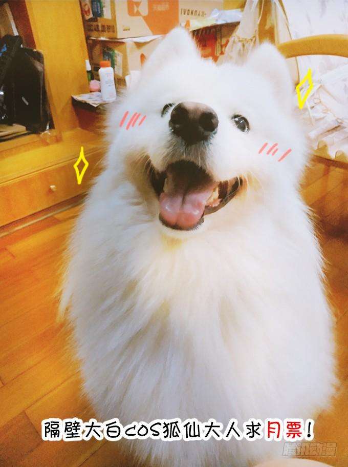 55.jpg