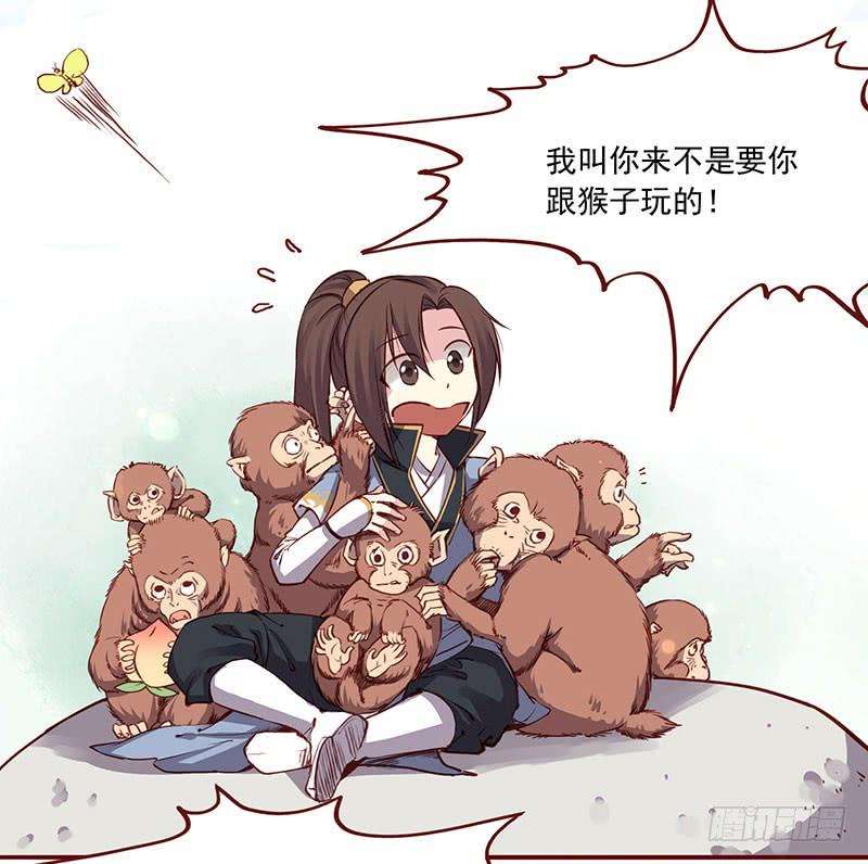 19.jpg