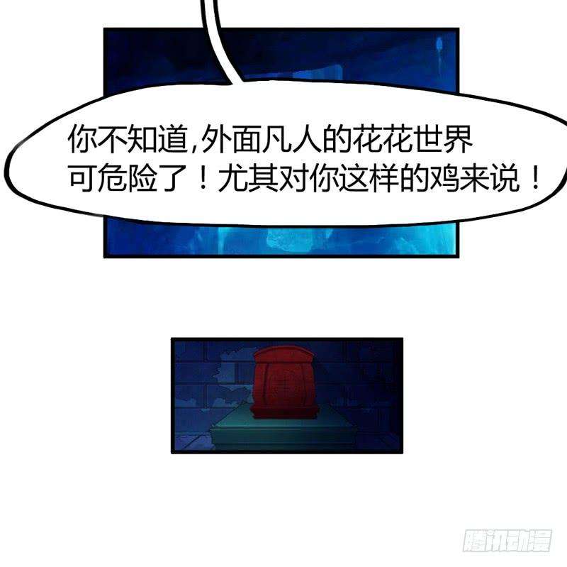 17.jpg