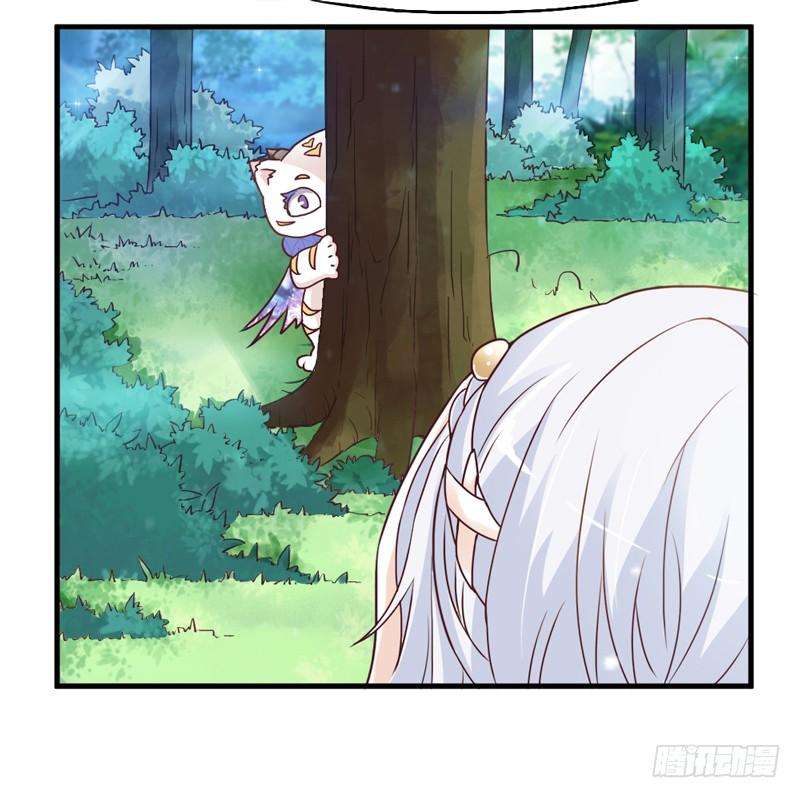 37.jpg