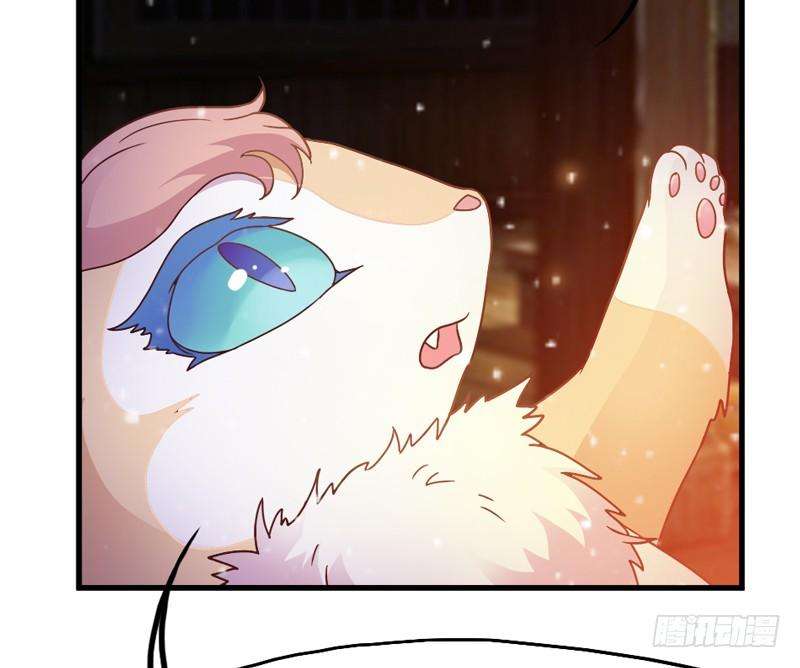 42.jpg