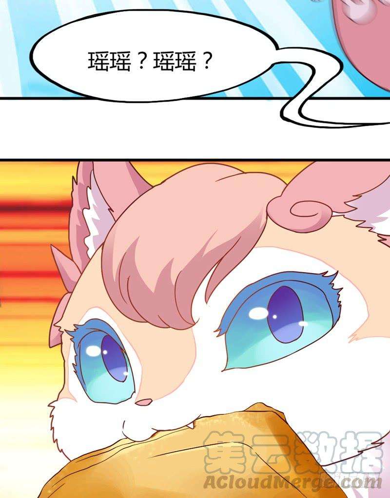 51.jpg