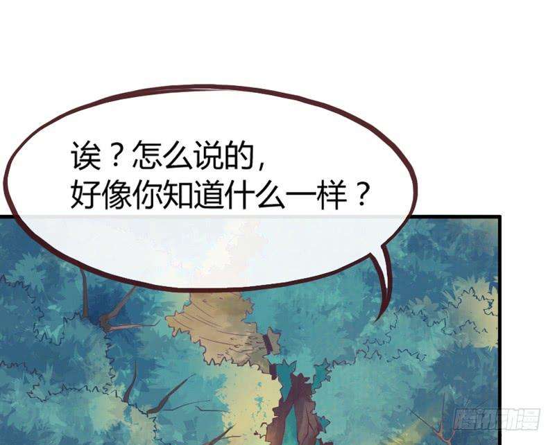 73.jpg