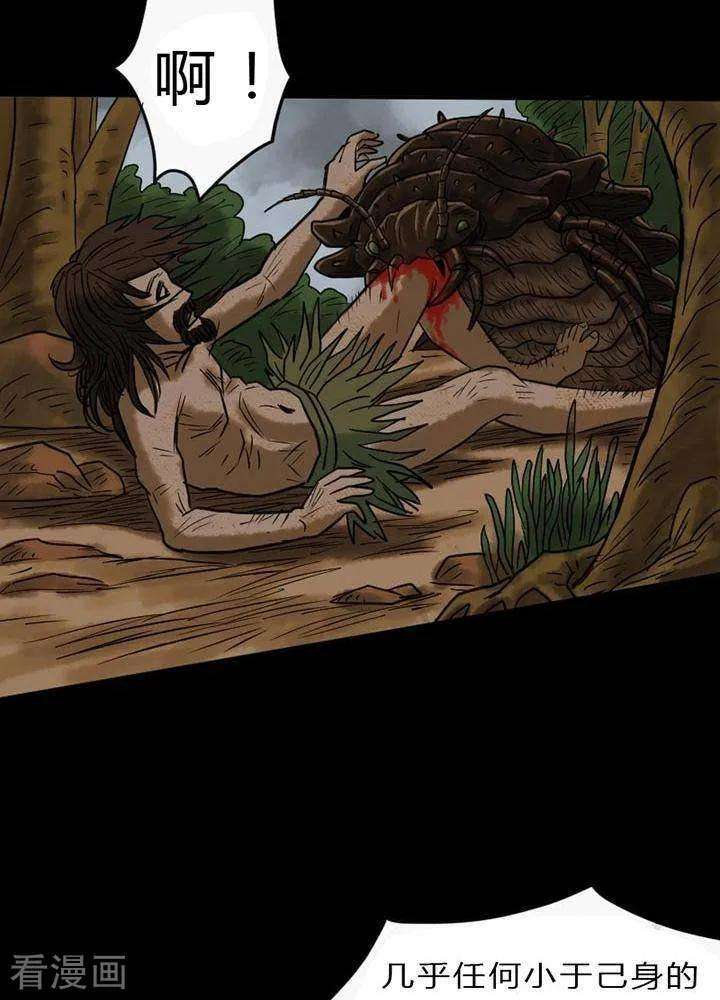 18.jpg