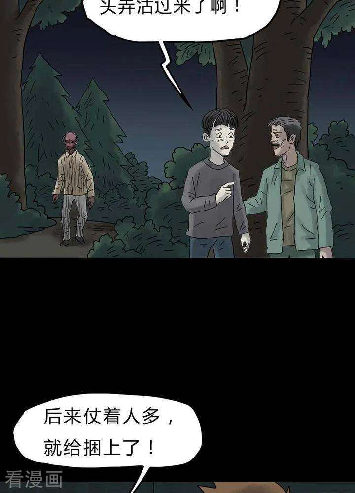 11.jpg