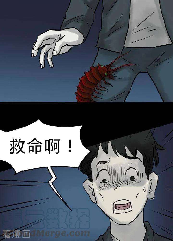 25.jpg