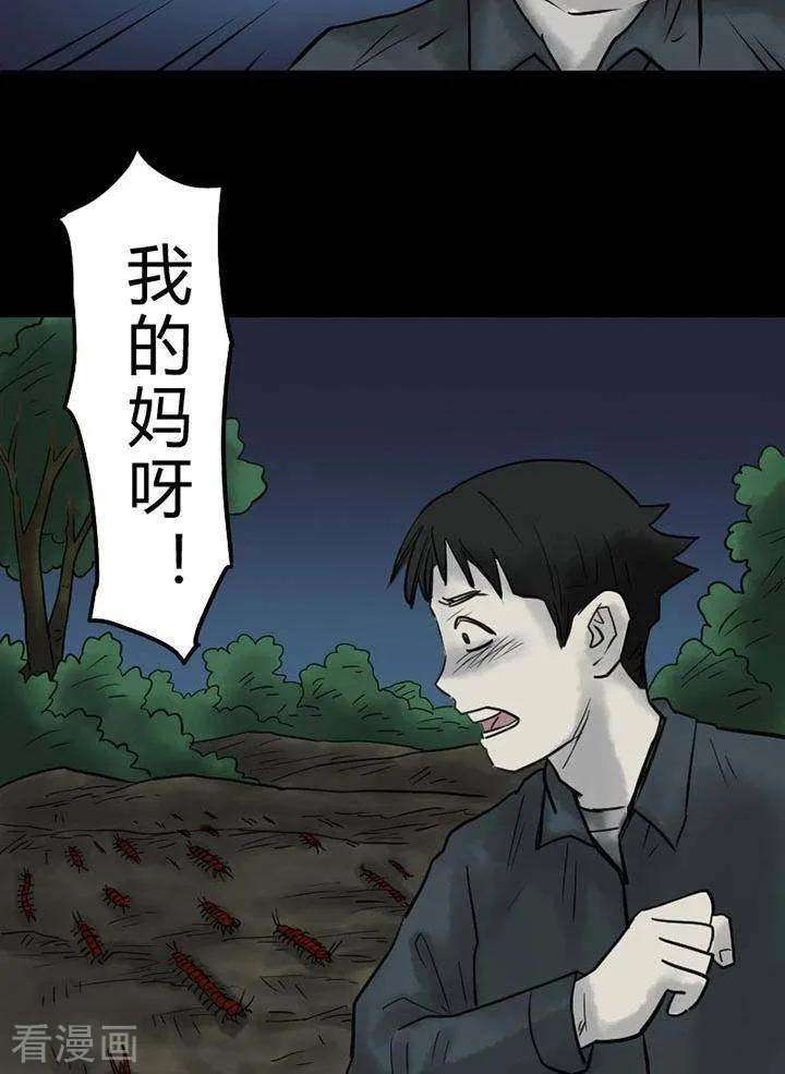 26.jpg