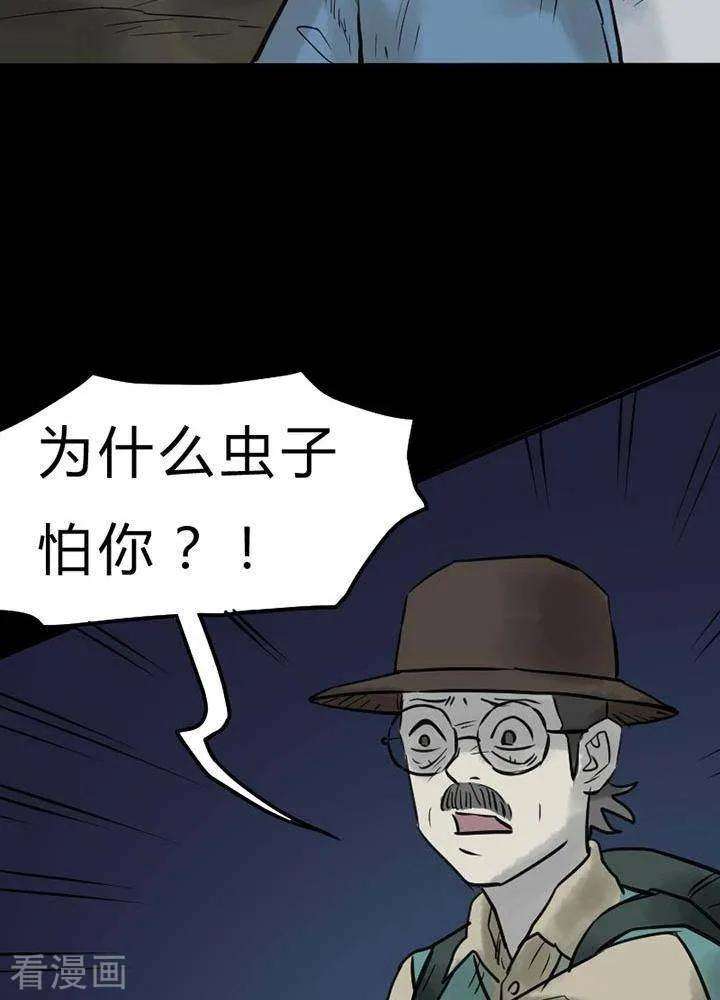 17.jpg