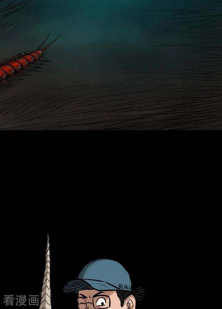 24.jpg