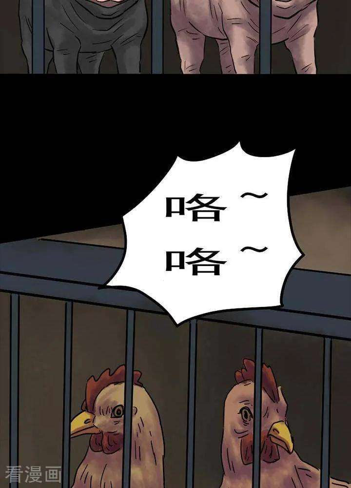 25.jpg