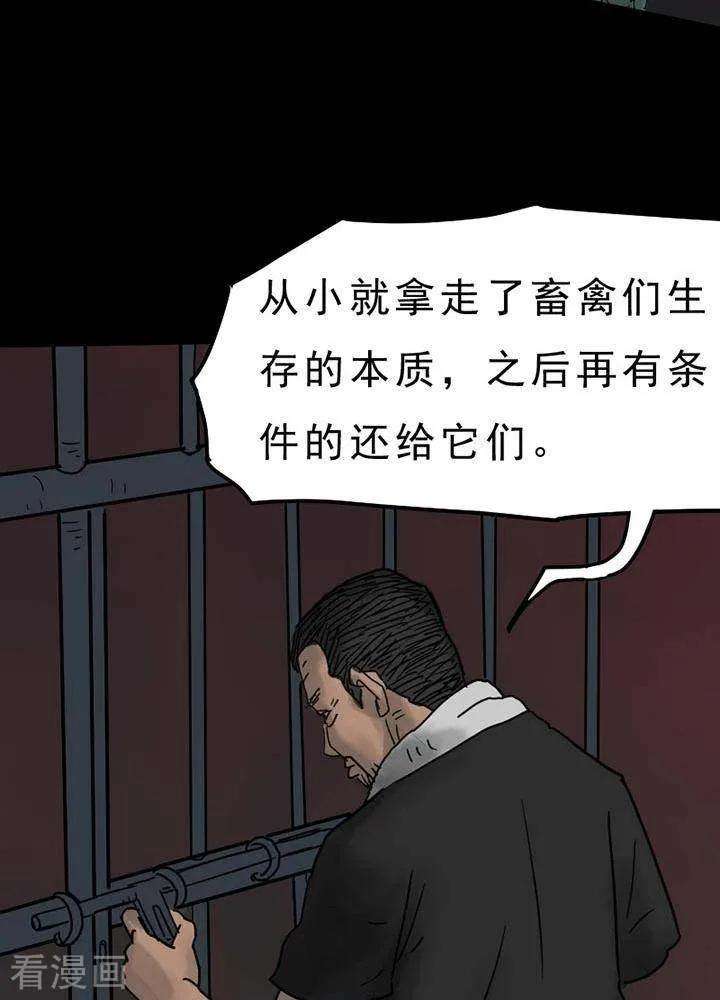21.jpg