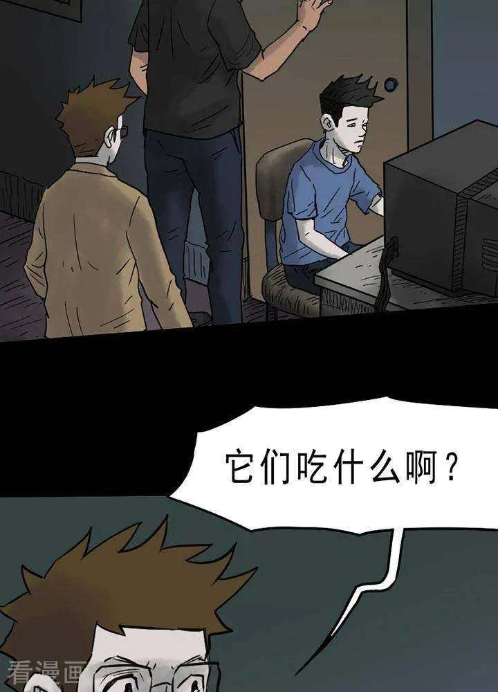 18.jpg