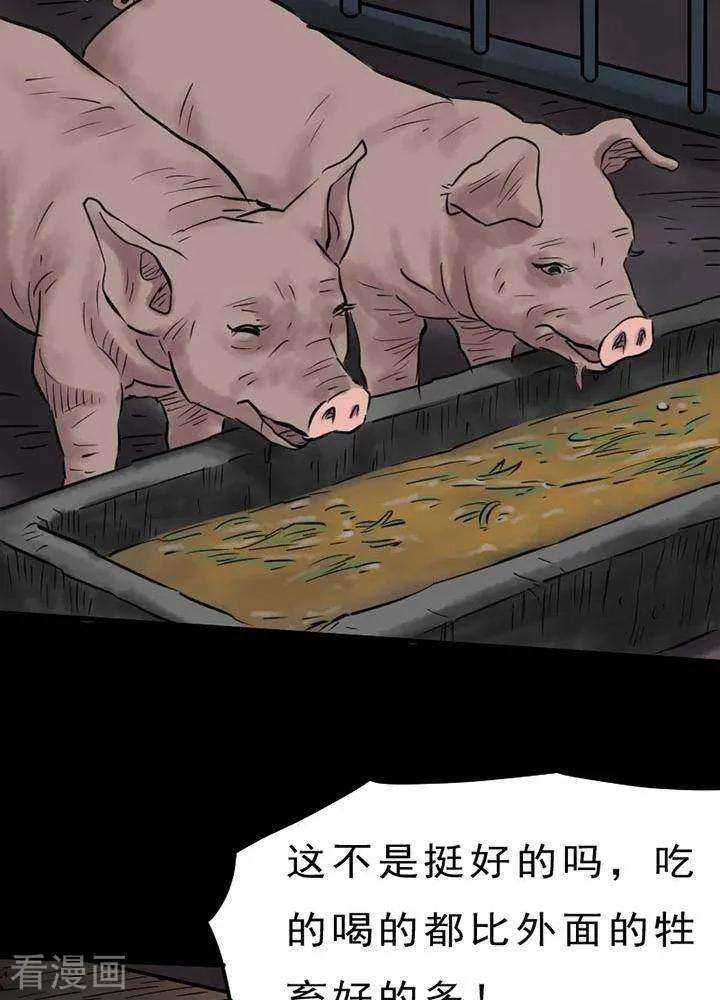 31.jpg