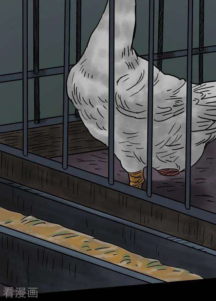 37.jpg