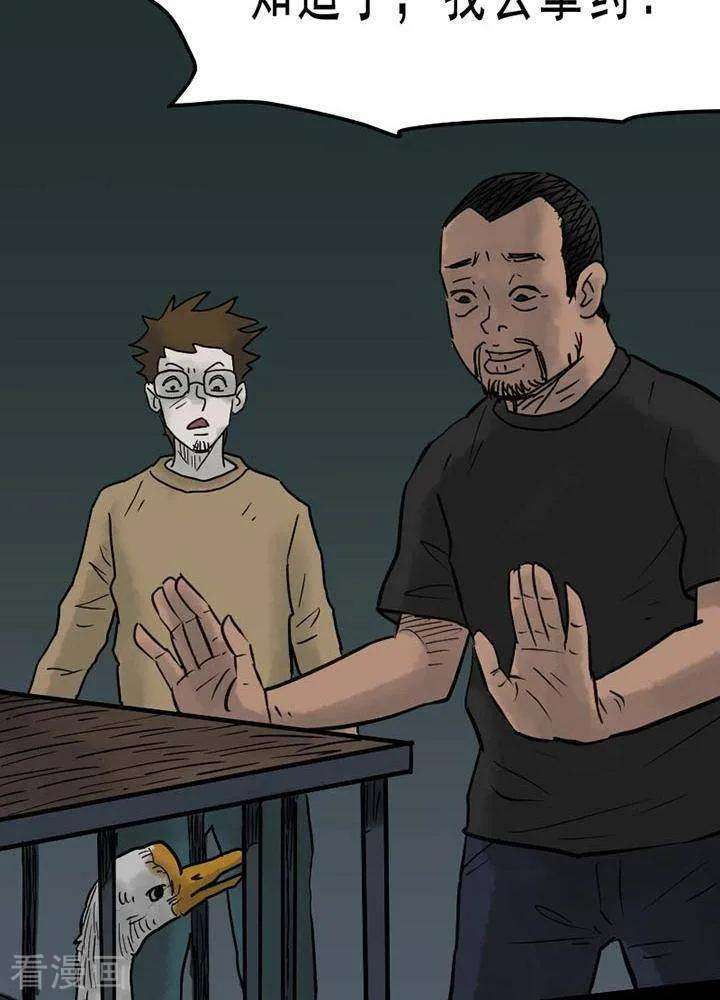 21.jpg