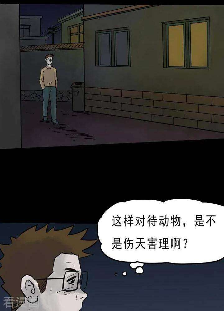 27.jpg