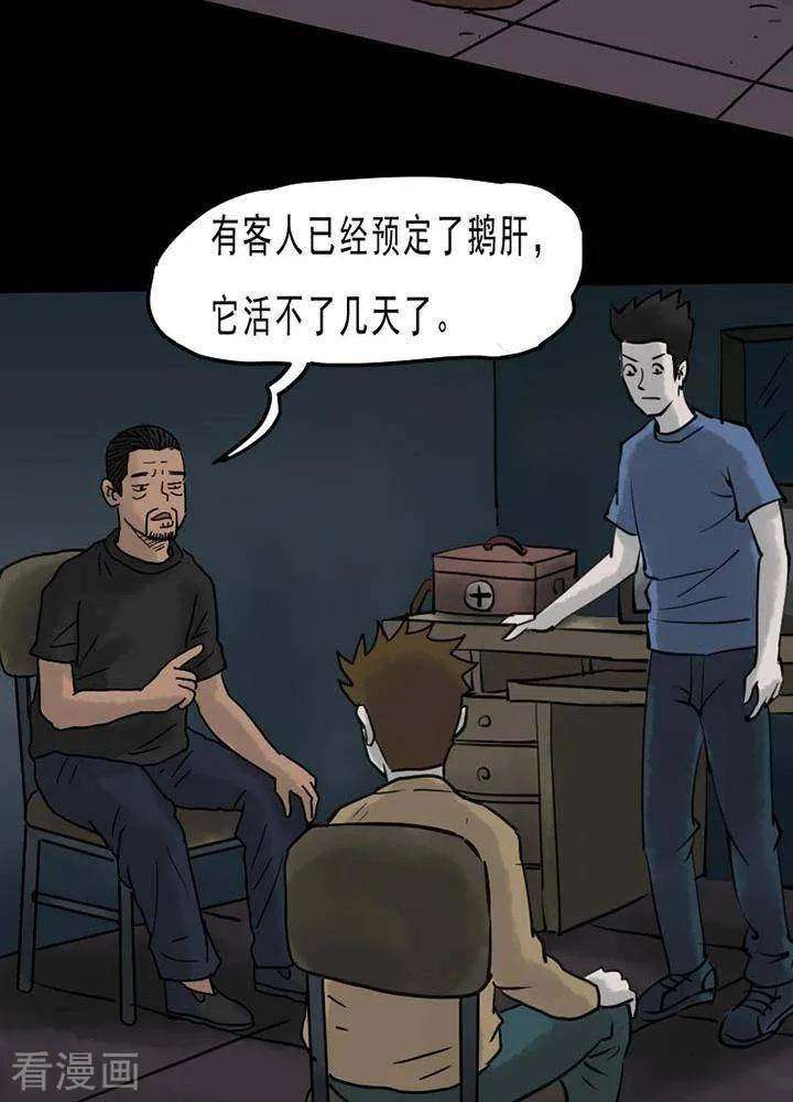 13.jpg