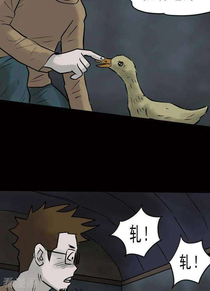21.jpg