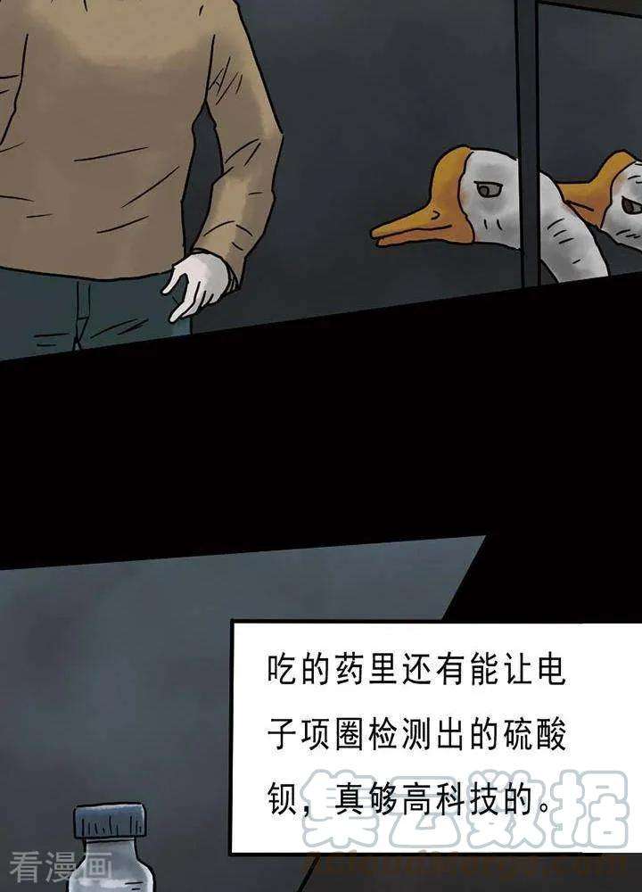 15.jpg