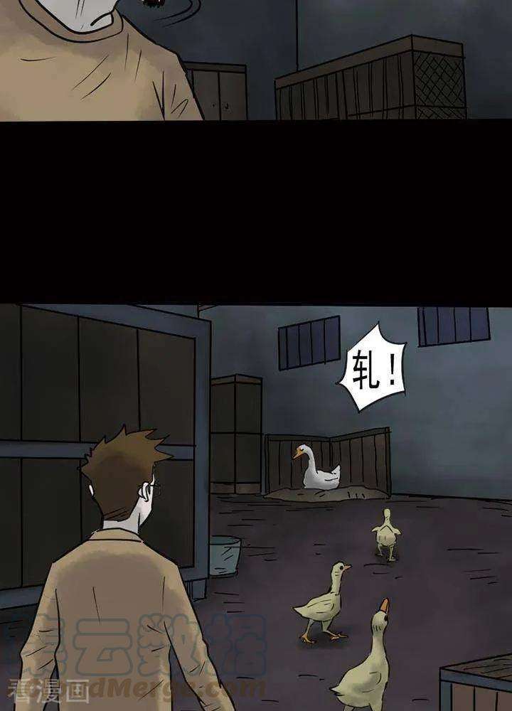22.jpg