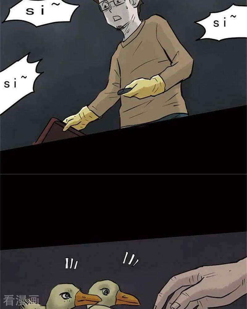 13.jpg