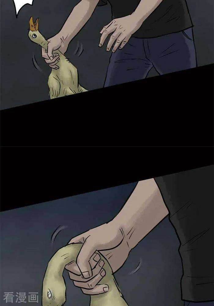 14.jpg