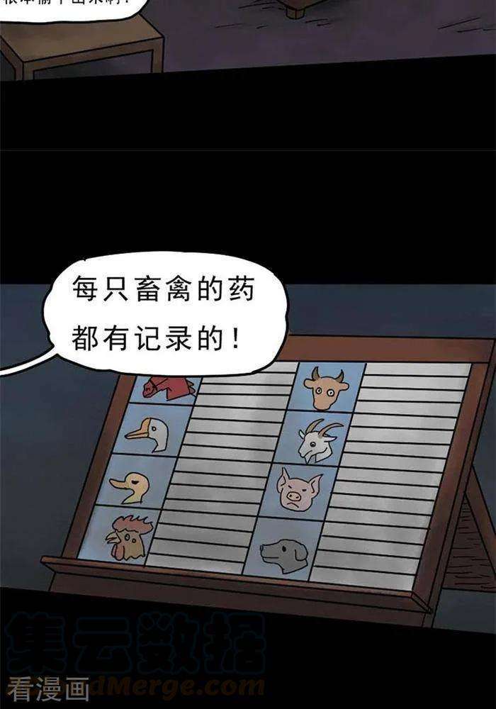 8.jpg