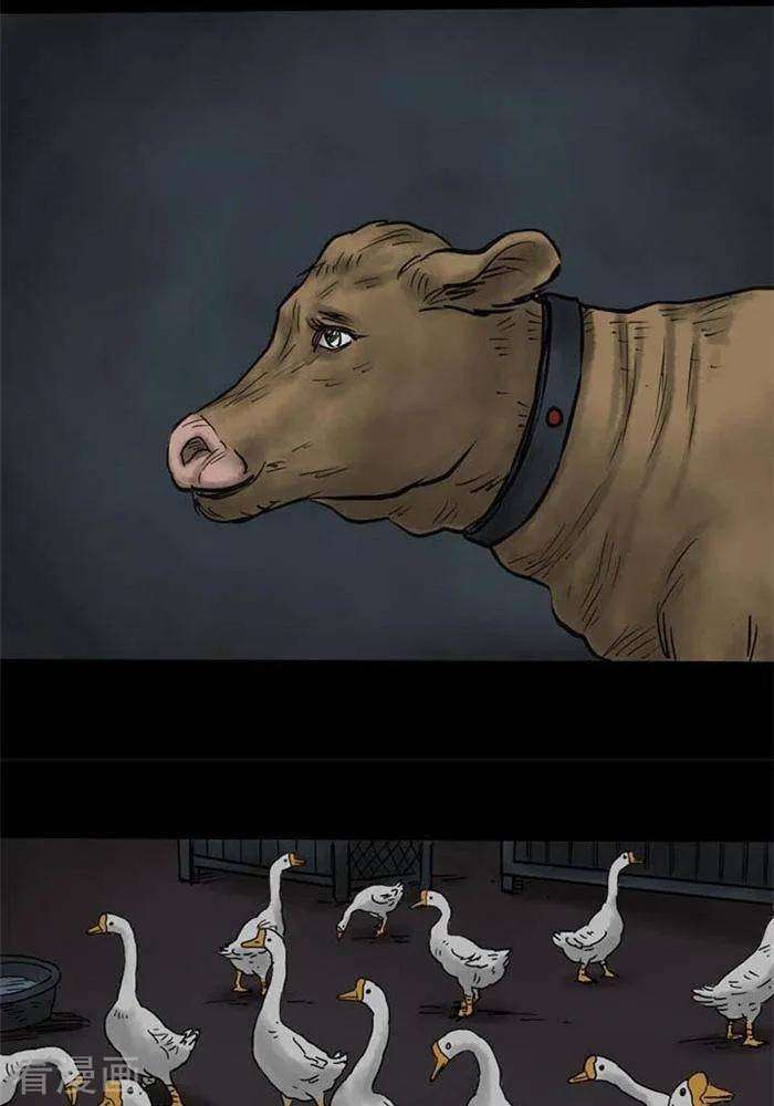 28.jpg
