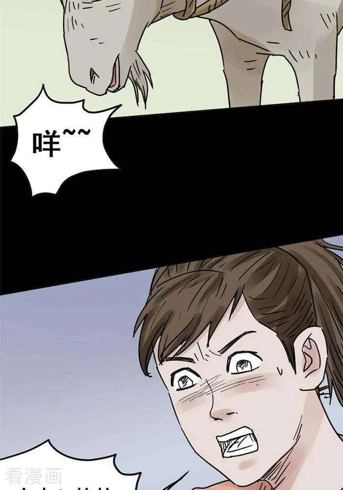23.jpg