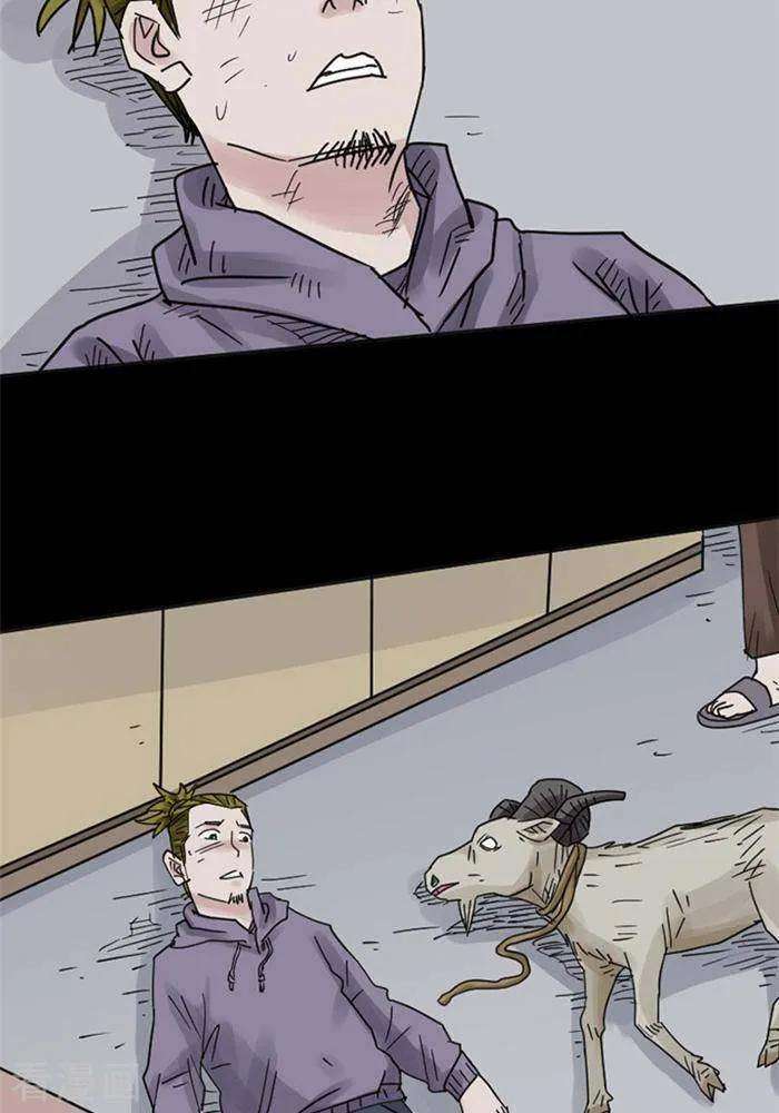 28.jpg
