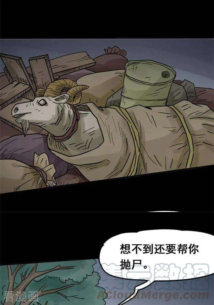 17.jpg