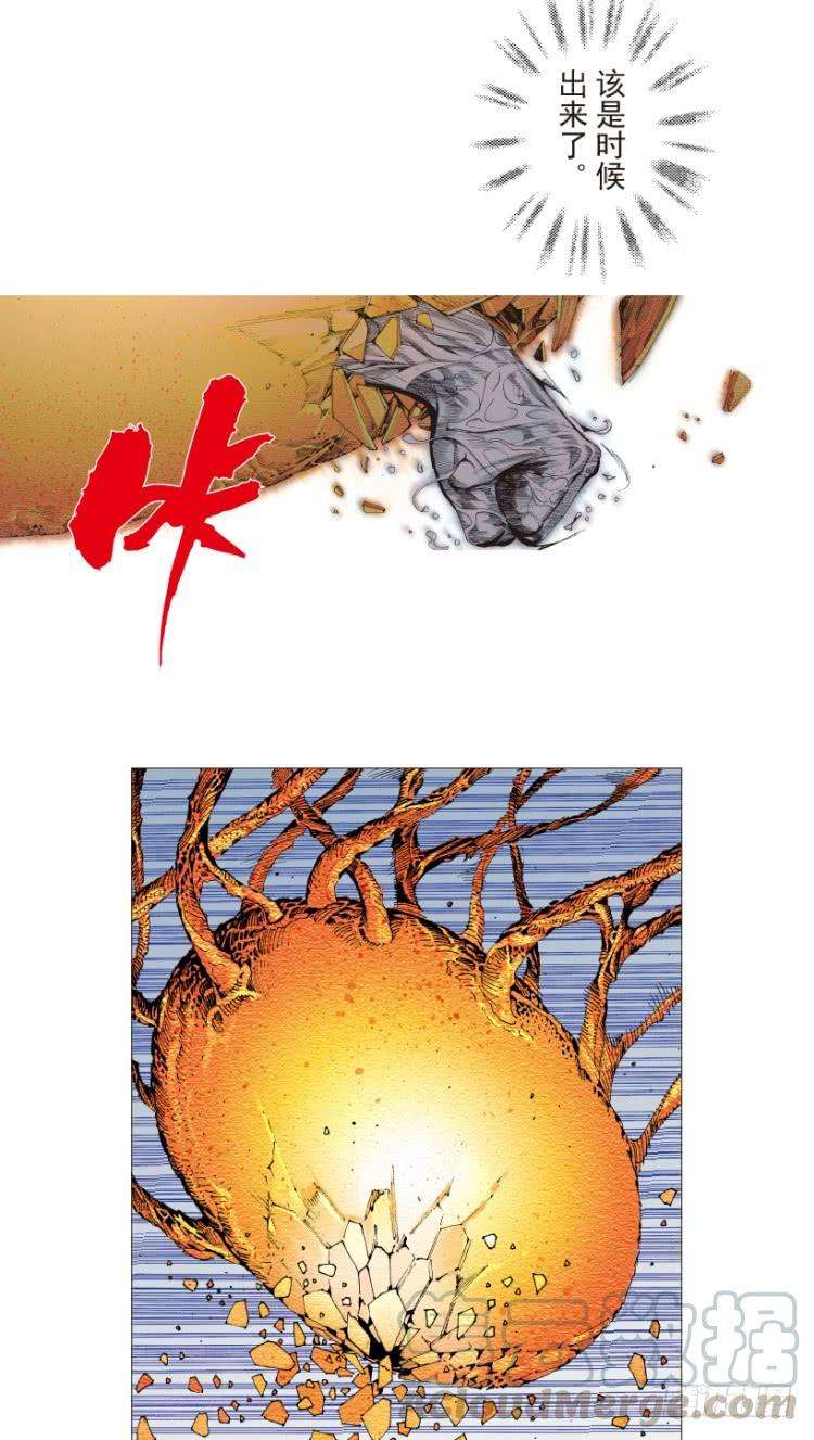 31.jpg