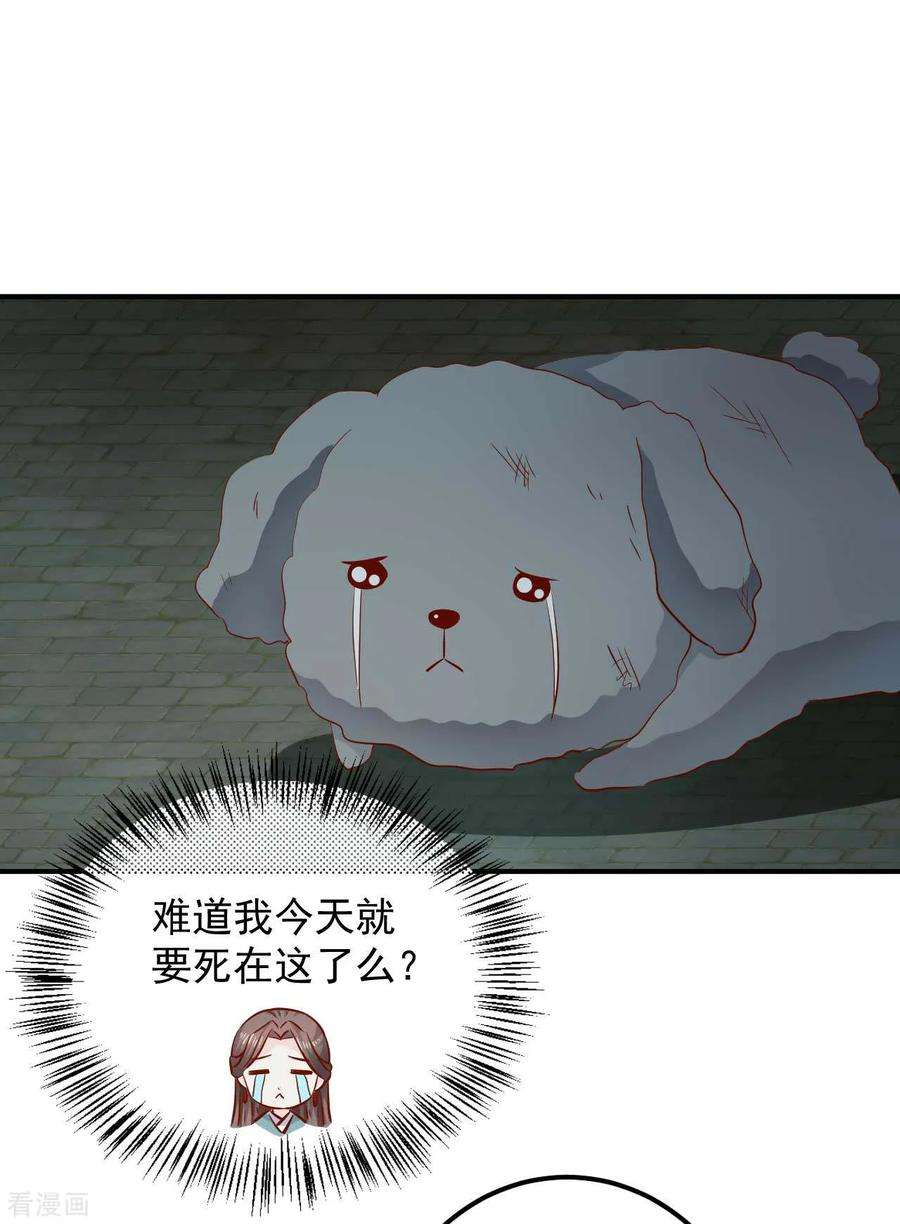 20.jpg