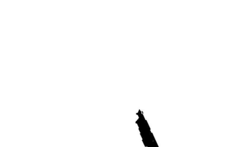 82.jpg