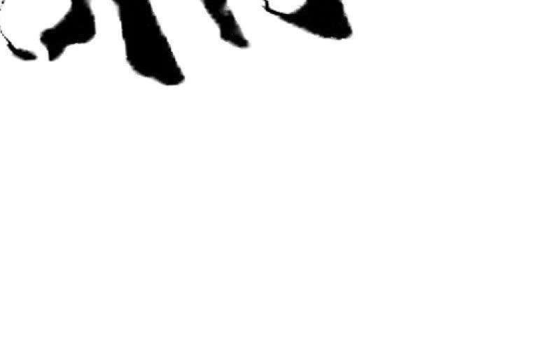116.jpg