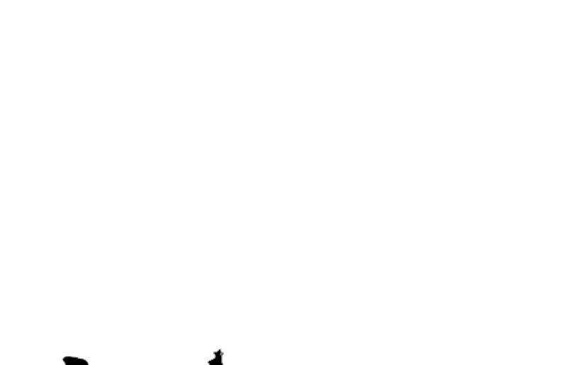 89.jpg