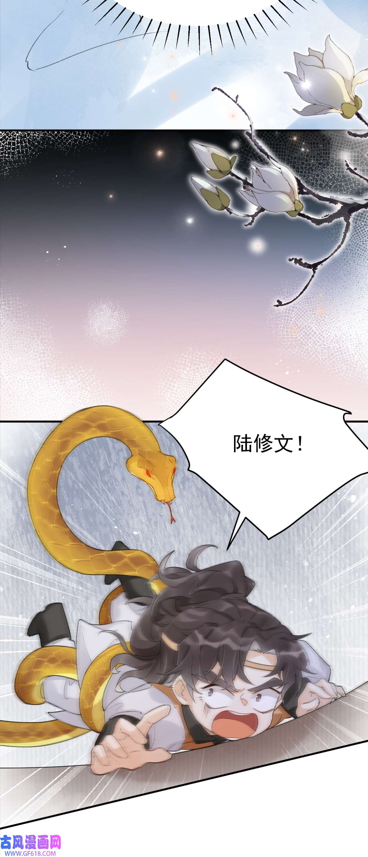 23.jpg