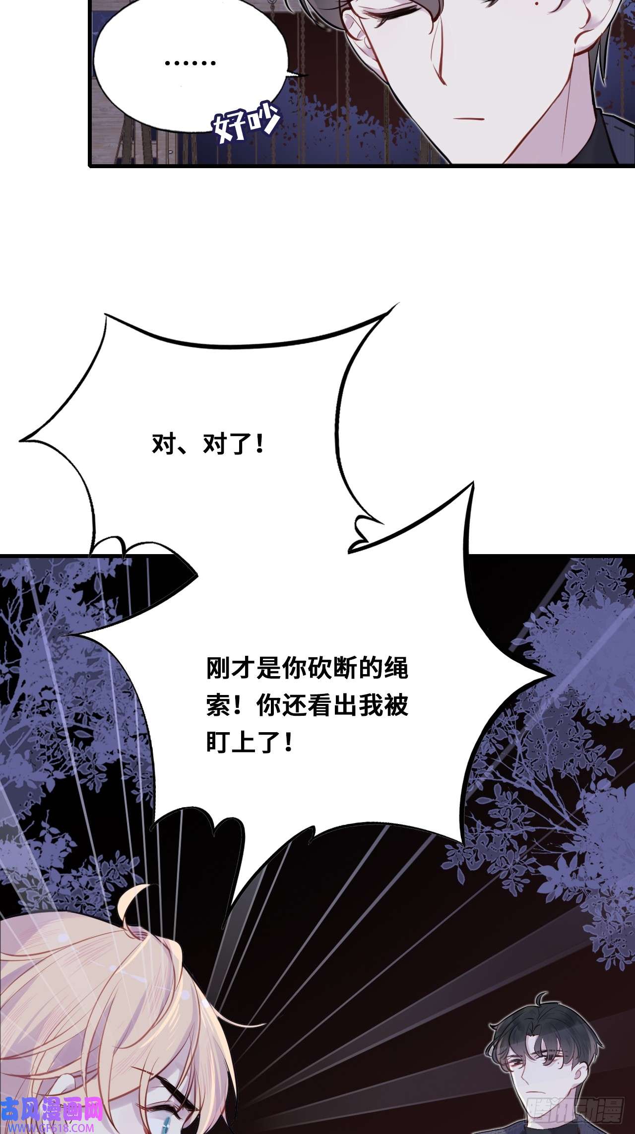 31.jpg