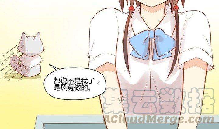 31.jpg